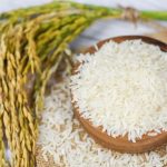 Mẹo bảo quản gạo không mọt: Chỉ cần cho thứ này vào thùng, gạo để lâu vẫn thơm ngon