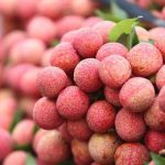 Quả vải: Không chỉ ngon mà còn có 4 lợi ích sức khỏe ít ai biết