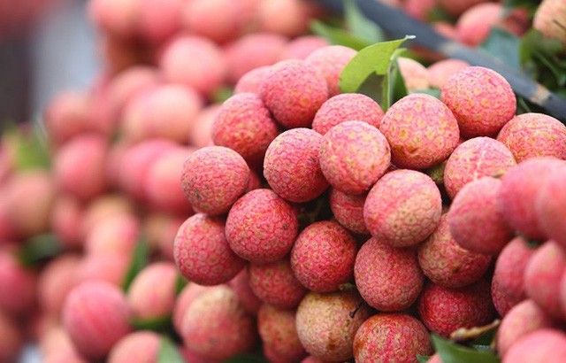 Quả vải: Không chỉ ngon mà còn có 4 lợi ích sức khỏe ít ai biết