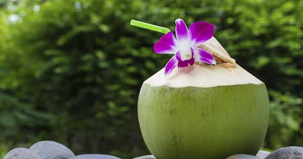 Nắng nóng đỉnh điểm, đừng quên uống nước dừa mỗi ngày