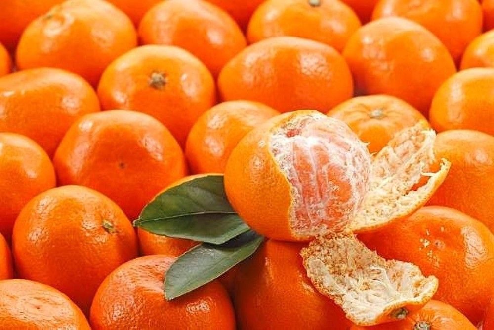 5 loại thực phẩm quen thuộc giúp phòng ngừa nguy cơ đột quỵ