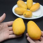 Chọn xoài ngon chỉ trong vài giây: nhớ ngay 5 mẹo này