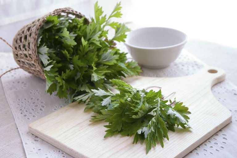 Ngải cứu – “Vị thuốc” dân gian hỗ trợ an thai an toàn cho mẹ bầu