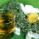 Lợi ích bất ngờ từ nước lá sen