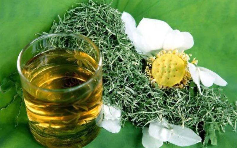 Lợi ích bất ngờ từ nước lá sen