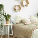 Lý giải khoa học và phong thủy: Vì sao phòng ngủ không nên nhiều cây xanh?