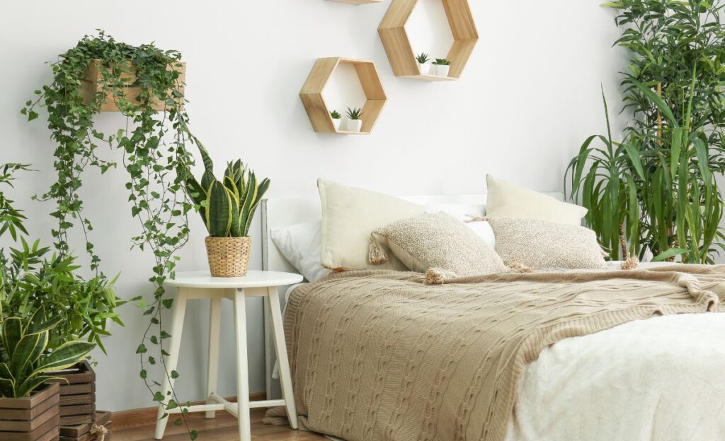 Lý giải khoa học và phong thủy: Vì sao phòng ngủ không nên nhiều cây xanh?