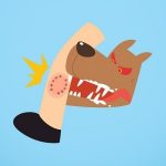 Ứng phó thế nào khi bị động vật nghi mắc bệnh dại cắn?