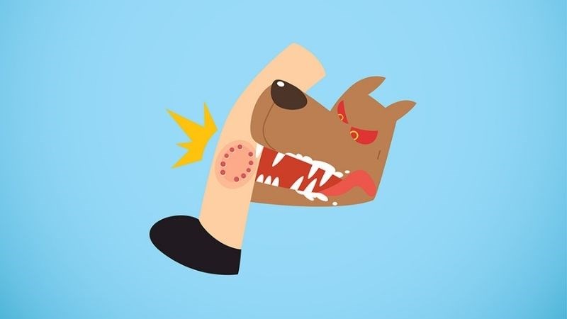 Ứng phó thế nào khi bị động vật nghi mắc bệnh dại cắn?