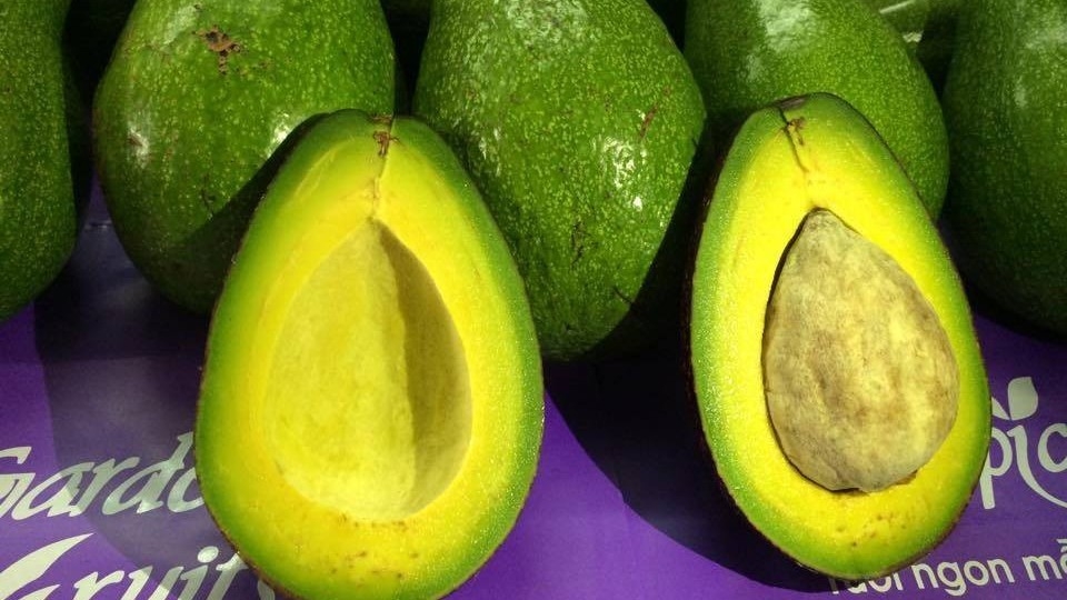 Nhận biết bơ sáp và bơ nước chỉ bằng vài dấu hiệu đơn giản