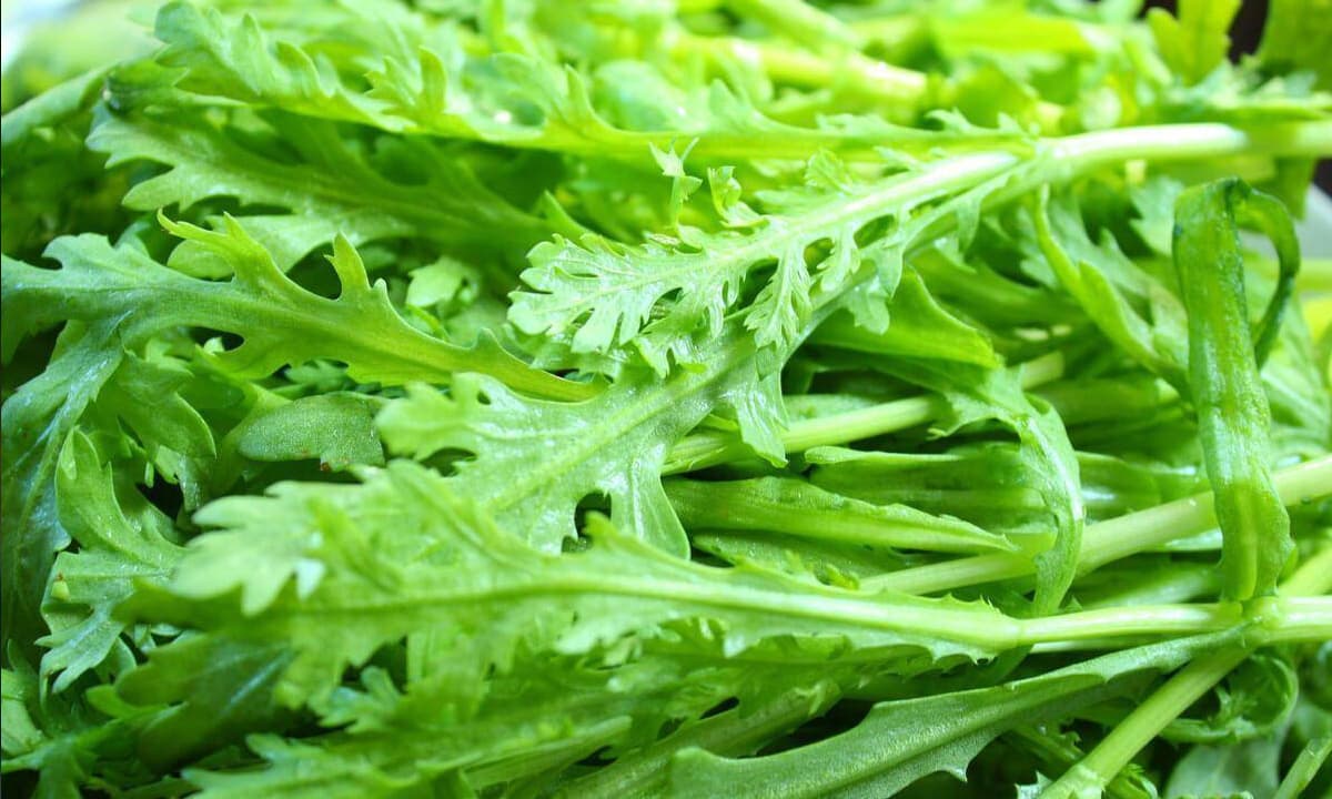 Cải cúc – loại rau quen thuộc giúp cơ thể giải độc hiệu quả