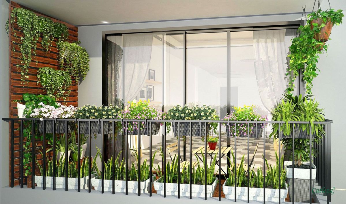 Chuyên gia phong thủy gợi ý 3 cây cảnh hút tài lộc, phú quý