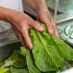 Hiểm họa từ thói quen ăn rau sống nếu sơ chế không đảm bảo