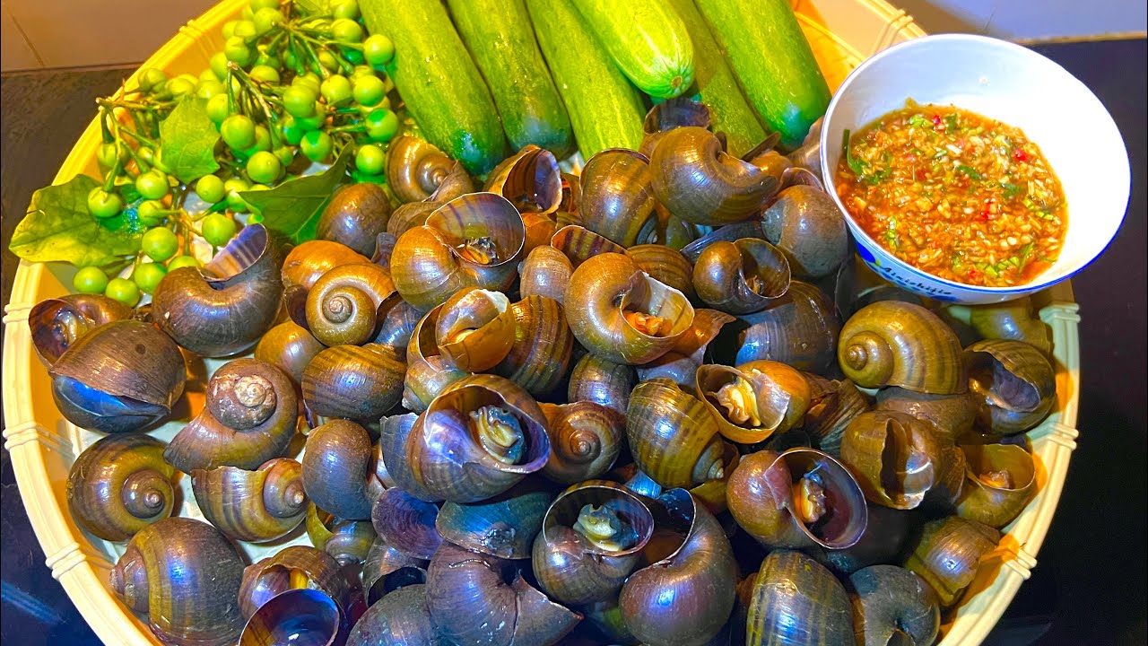 Ăn ốc sao cho an toàn: Những lưu ý không nên bỏ qua