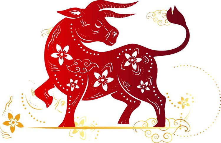 Dự đoán tuổi Sửu năm Bính Ngọ: Đào hoa vượng nhưng công việc lắm trở ngại