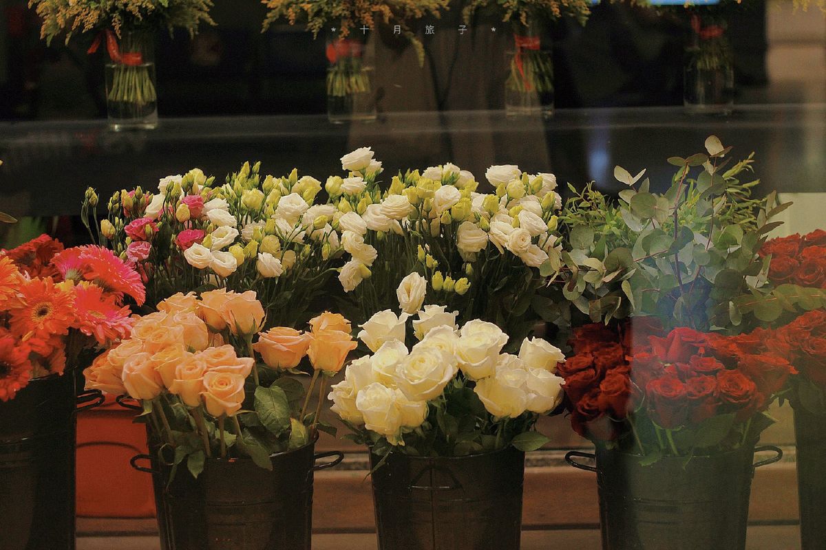 Nhà đẹp hơn nhưng vận khí có thể đi xuống vì hoa khô, cây giả