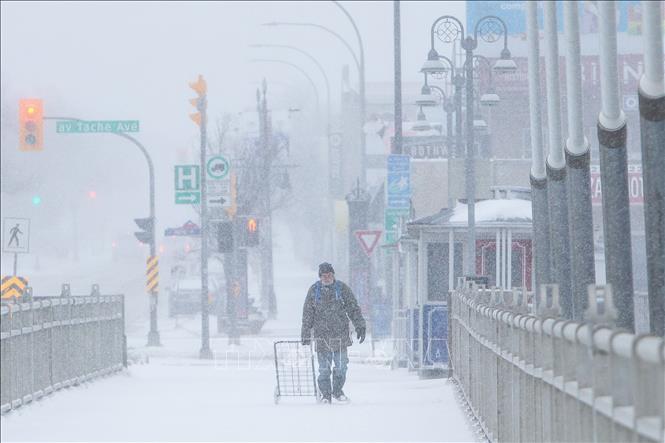 Mùa đông khắc nghiệt ở Canada: Người Việt tại Ontario chia sẻ trải nghiệm bão tuyết