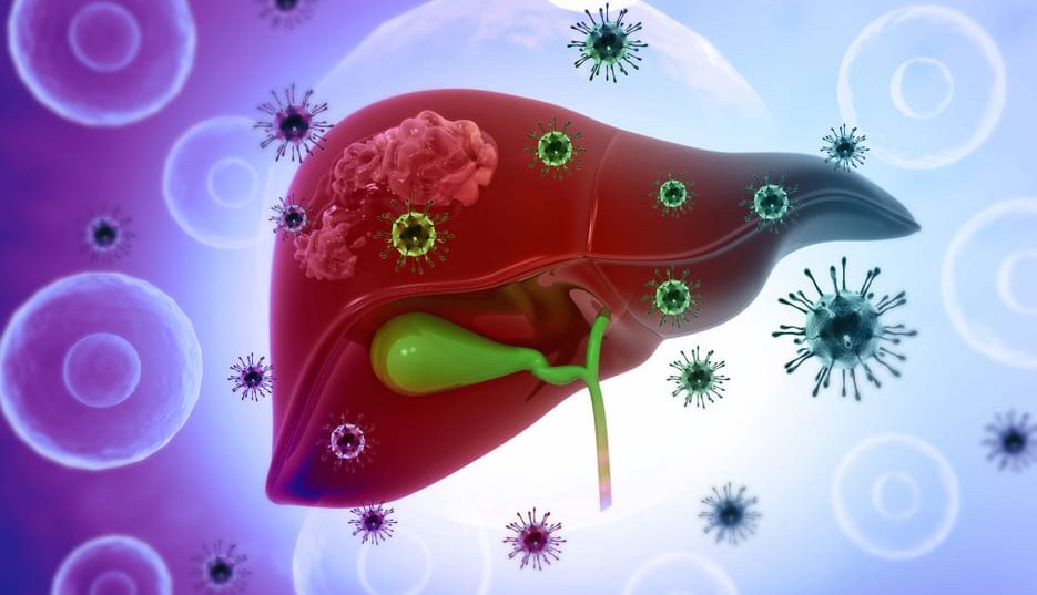 Viêm Gan B Và C Khác Nhau Thế Nào? Những Điều Cần Biết Để Bảo Vệ Lá Gan
