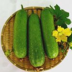 Vì sao chuyên gia khuyên nên ăn bí xanh khi thời tiết oi bức?