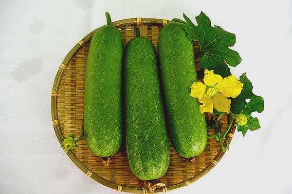 Vì sao chuyên gia khuyên nên ăn bí xanh khi thời tiết oi bức?