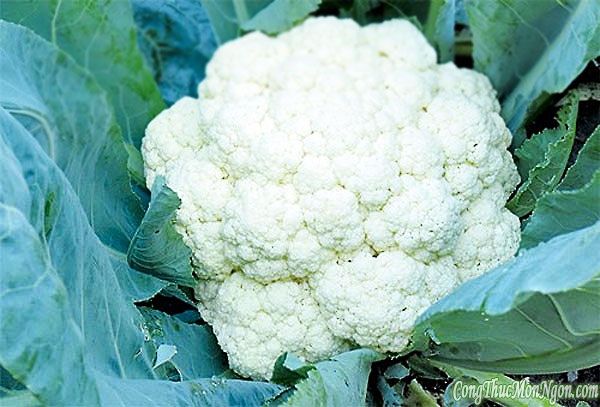 Súp lơ trắng – “bí quyết vàng” giúp giảm cân an toàn và hiệu quả