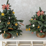 Thông tươi Noel nhập ngoại loạn giá