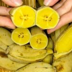 Thực đơn có chuối luộc: Bí quyết giữ dáng của nhiều người đẹp