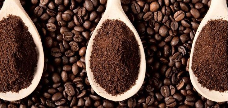 Trẻ em uống cà phê: Lợi hay hại?