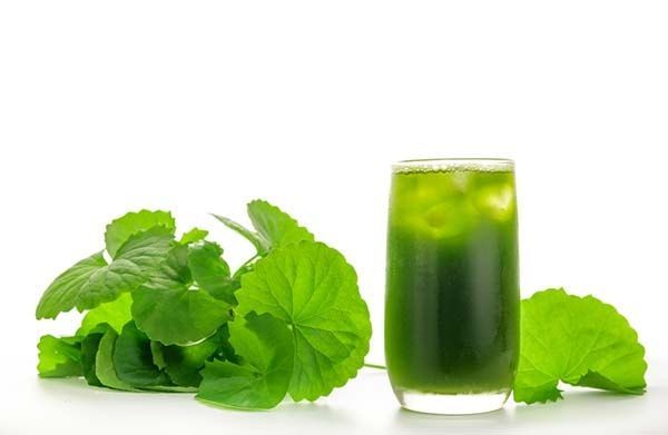 Uống nước rau má mỗi ngày: bí quyết mát da, khỏe người từ chiếc ly xanh