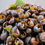 Ốc luộc ngon nhưng không dành cho tất cả: Những ai cần tuyệt đối tránh xa món khoái khẩu này