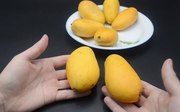 Chọn xoài ngon chỉ trong vài giây: nhớ ngay 5 mẹo này