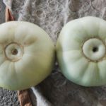 Mẹo nhỏ chọn dưa lê chuẩn vị ngọt mát cho cả gia đình