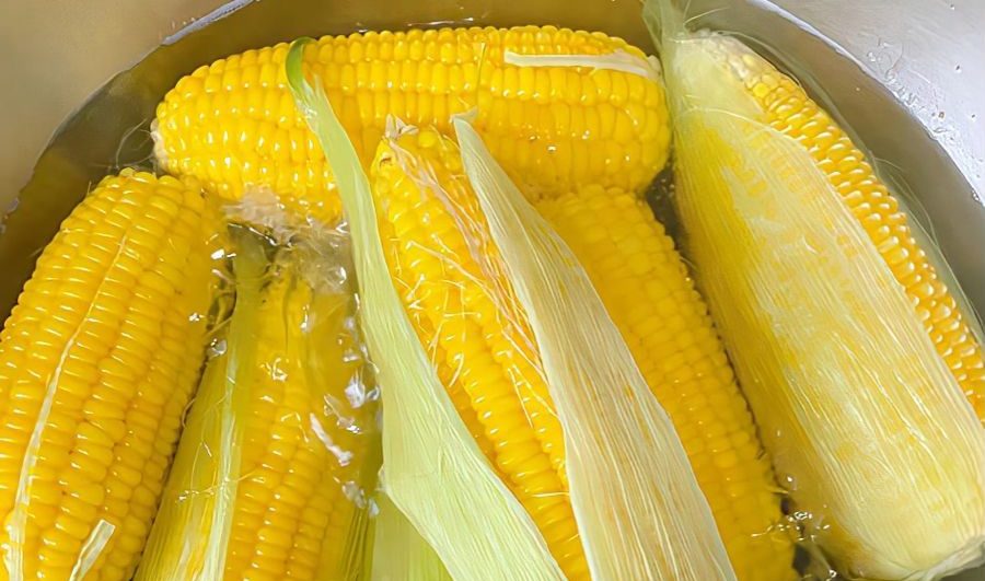 Thêm muối khi luộc ngô – mẹo nhỏ tạo nên bắp ngô dẻo ngọt hoàn hảo
