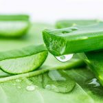 Gel lô hội tốt cho da gì? Sự thật khiến nhiều người bất ngờ