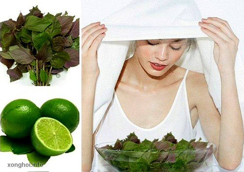 Dưỡng da bằng lá tía tô: Phương pháp dân gian được ưa chuộng
