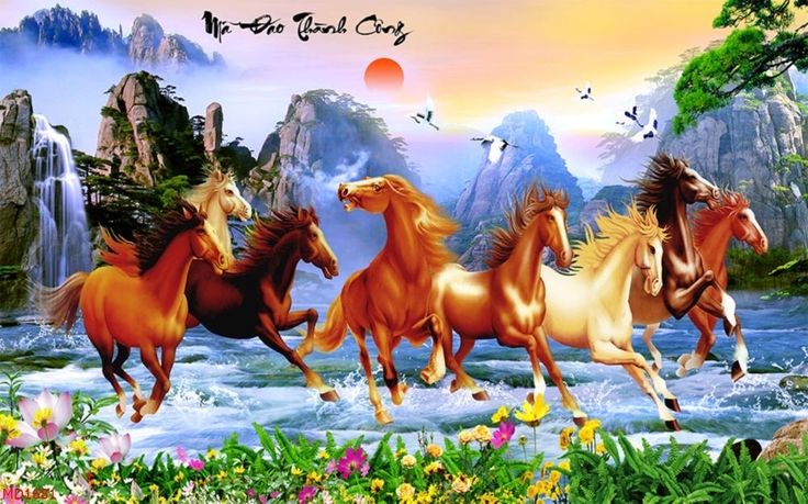 Năm Bính Ngọ treo tranh “Mã đáo thành công”: Kích hoạt vận khí và tài lộc