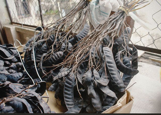 Xông nhà bằng bồ kết – Nét đẹp truyền thống mỗi dịp cuối năm