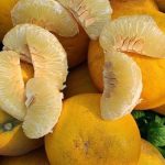 Giữ hương bưởi Diễn chơi Tết: Cách bảo quản để quả không héo, không mốc