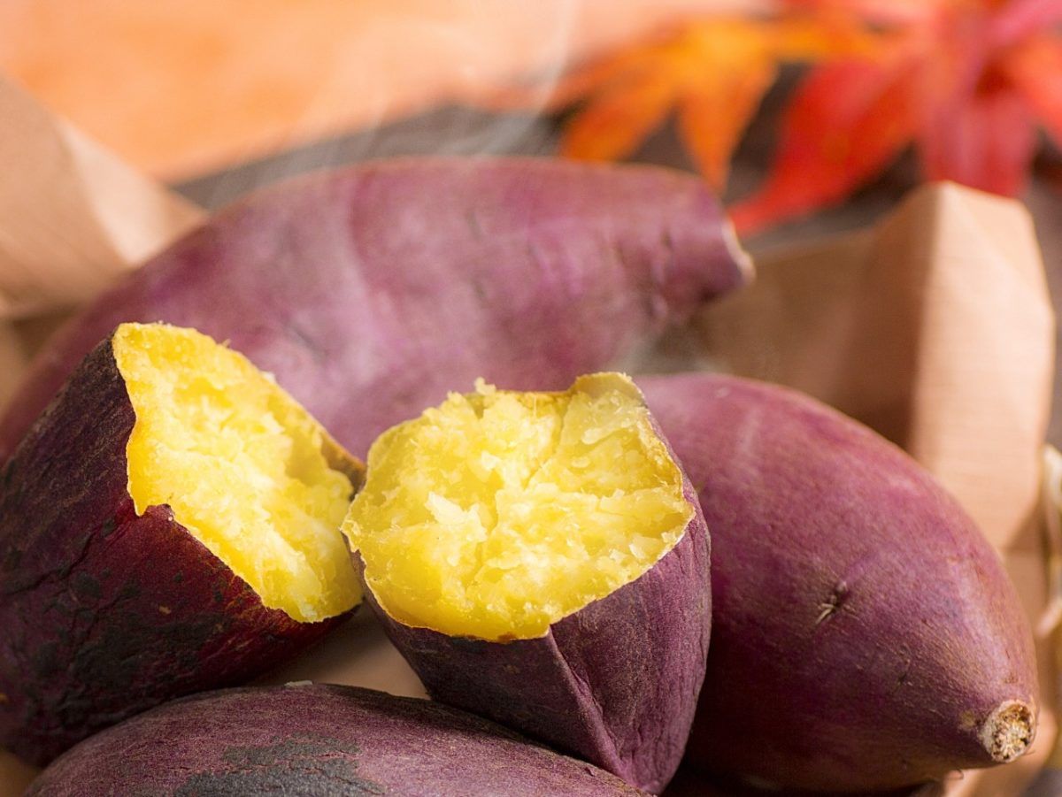 Ăn khoai lang giảm cân nhưng vẫn tăng cân? Có thể bạn đã chế biến sai cách