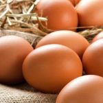 Thói quen ăn trứng giúp bảo vệ tim mạch ở người cao tuổi