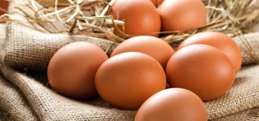 Thói quen ăn trứng giúp bảo vệ tim mạch ở người cao tuổi