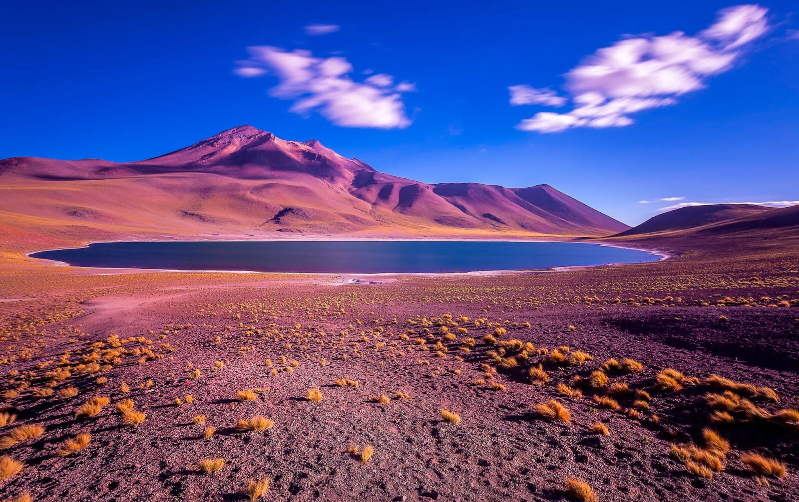 Sa mạc cạnh biển: Nghịch lý của khí hậu Trái đất