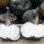 Không chỉ là thực phẩm: Những loại củ hỗ trợ bổ thận hiệu quả