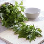 Bật mí 3 cách dùng ngải cứu để cải thiện làn da xỉn màu