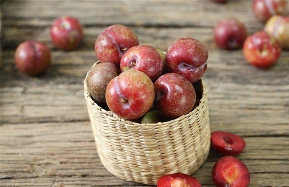 Sự thật về mận hậu: Có gây nóng trong như lời đồn?