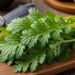 5 công dụng nổi bật của ngải cứu đối với làn da